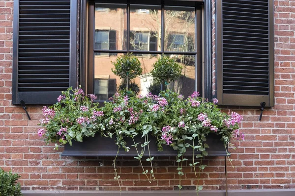 Windows Boston Primavera — Fotografia de Stock