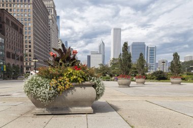 Chicago bahçelerinde