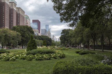 Chicago bahçelerinde
