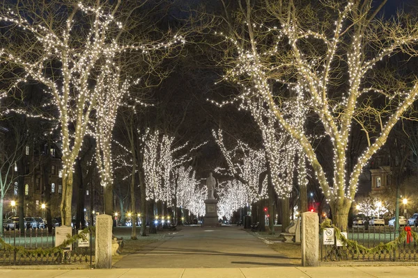 Noel için Boston Commonwealth Avenue