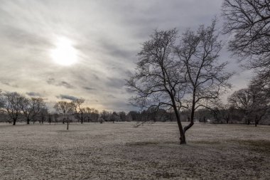Tüm kışın donmuş