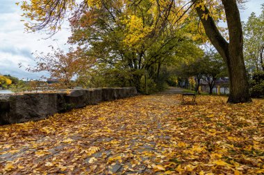 Massachusetts 'te Güzel bir Sonbahar Öğleden Sonrası 