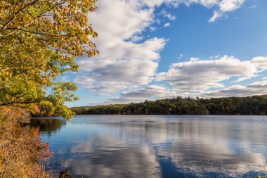 Massachusetts 'te Güzel bir Sonbahar Öğleden Sonrası 