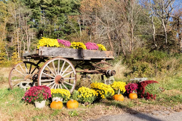 Vacker Eftermiddag Hösten Massachusetts — Stockfoto