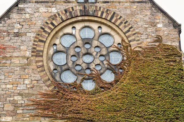 Boston Massachusetts 'te Sonbaharın Renkleri