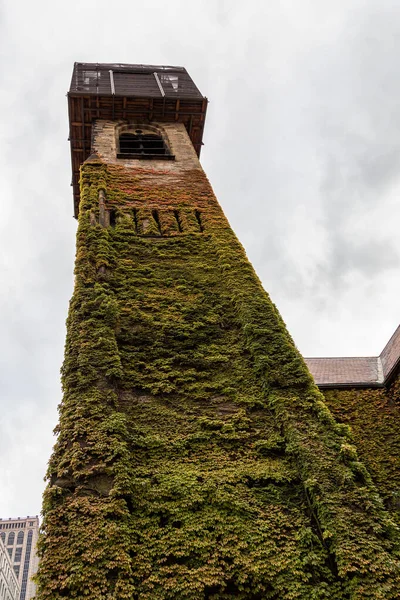 Boston Massachusetts 'te Sonbaharın Renkleri