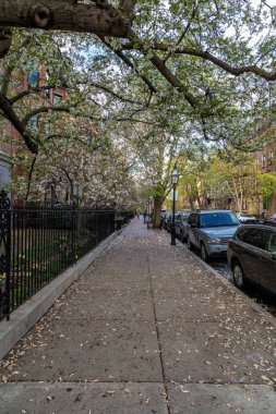 Boston, Massachusetts 'te Bir Öğleden Sonra