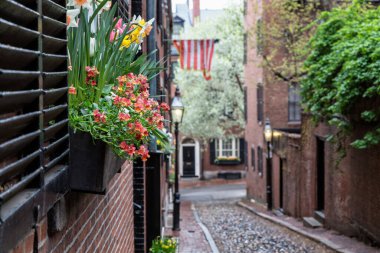 Beacon Hill, Boston 'da Bir Bahar Öğleden Sonra