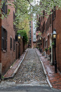 Beacon Hill, Boston 'da Bir Bahar Öğleden Sonra