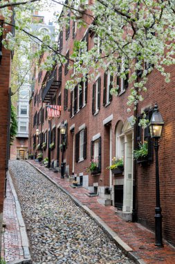 Beacon Hill, Boston 'da Bir Bahar Öğleden Sonra