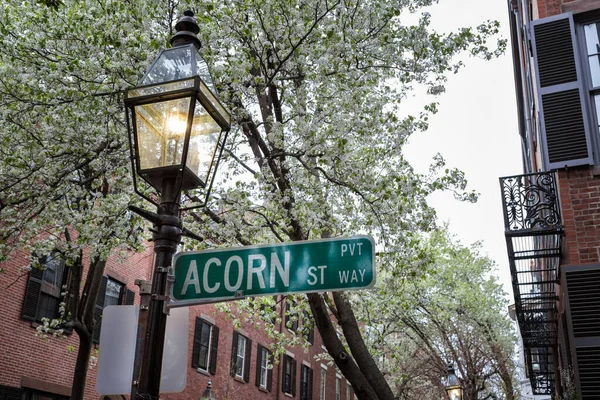 A Spring Afternoon on Beacon Hill, Boston