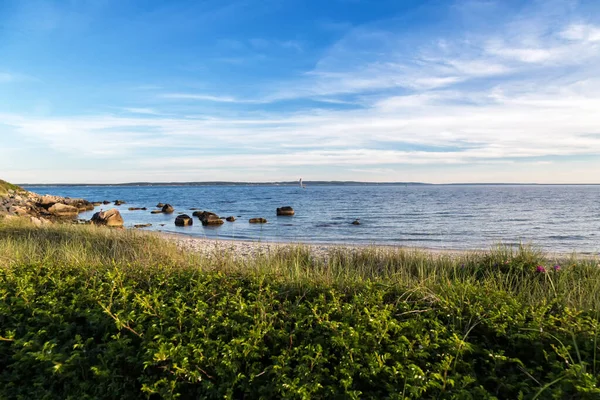 马萨诸塞州海岸线上的夏日 — 图库照片