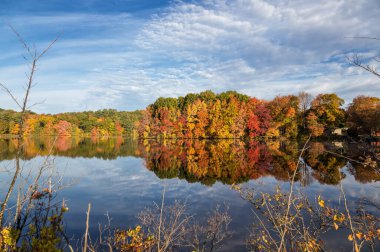 Framingham Massachusetts 'te güzel bir sonbahar sabahı