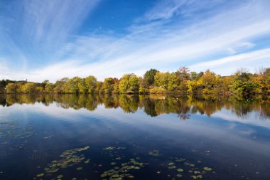 Waltham, Massachusetts 'te Sonbahar Öğleden Sonrası