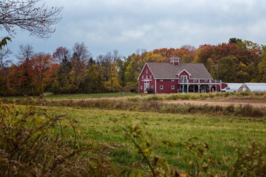 Massachusetts 'te Sonbahar Manzaraları