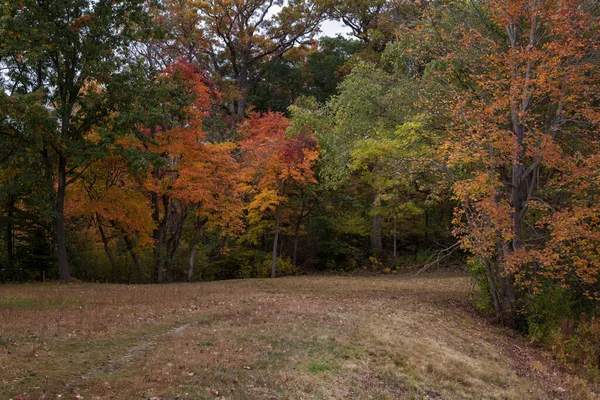 Paysages Automne Dans Massachusetts — Photo