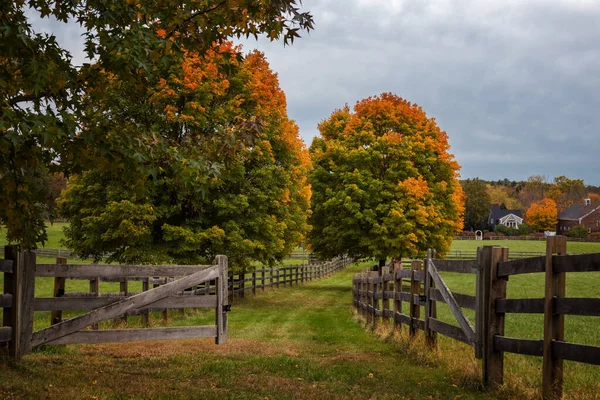 Höstlandskap Massachusetts — Stockfoto