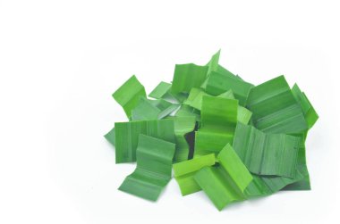 Taze yeşil pandan yaprak.