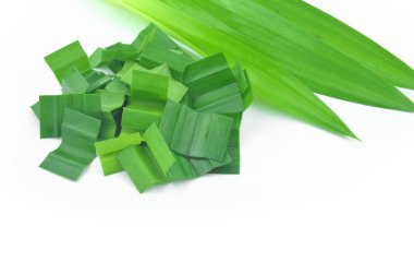 Taze yeşil pandan yaprak.