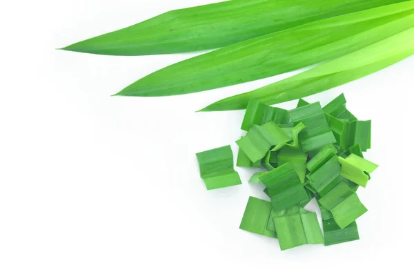 Fresh green pandan leaf. — Stock Photo, Image