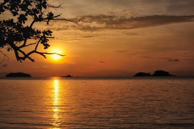 Günbatımında tropik plaj 