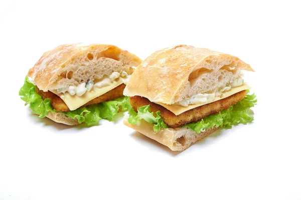 Burger with fish fillet i — Stock Photo, Image