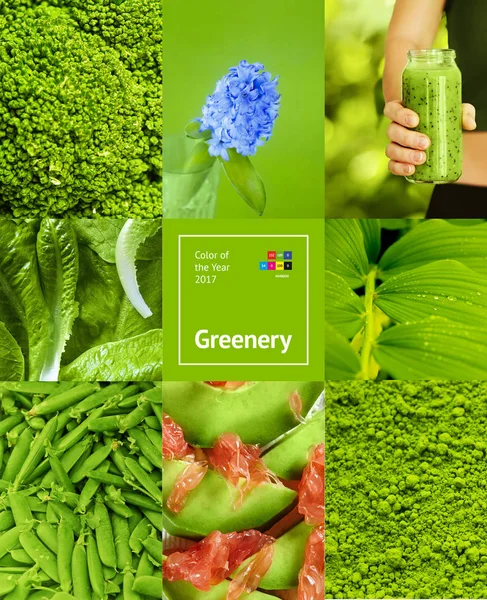 Groen kleur monster. — Stockfoto