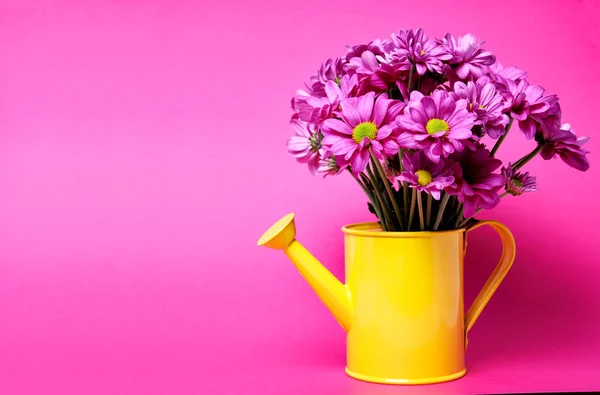 Рожеві квіти в жовтій банці — стокове фото
