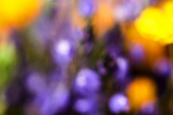 Sfondo astratto giallo e viola — Foto Stock