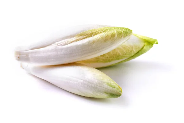 Endive sur fond blanc — Photo