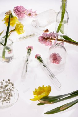 Taze bahar çiçekleri