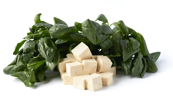 新鮮な豆腐のブロック — ストック写真