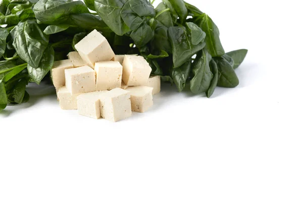 Block mit frischem Tofu — Stockfoto
