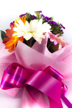 Beyaz arka plan üzerinde renkli güzel çiçek.