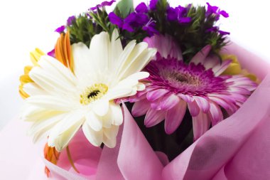 Beyaz arka plan üzerinde renkli güzel çiçek.