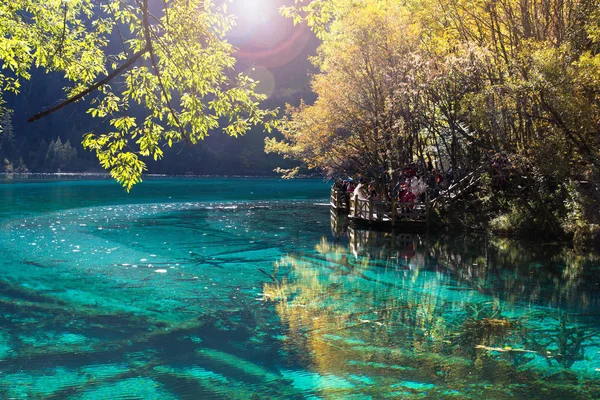 Beş çiçek Gölü Jiuzhaigou gölüdür