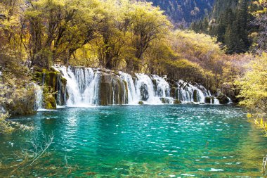 Ok bambu şelale jiuzhaigou doğal