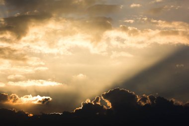 Sarı güneş ışını 