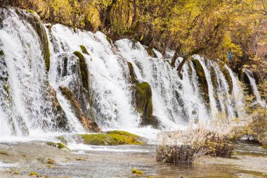 Ok bambu şelale jiuzhaigou doğal