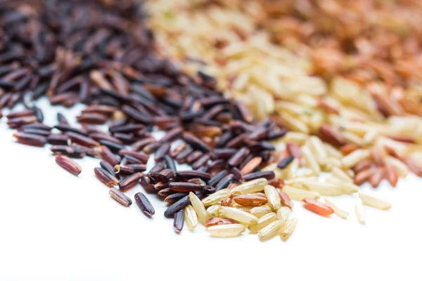 Three variety kinds of brown rice — Stock Photo, Image