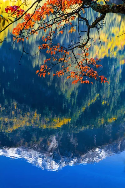 Lago espejo en Jiuzhaigou escénico — Foto de Stock