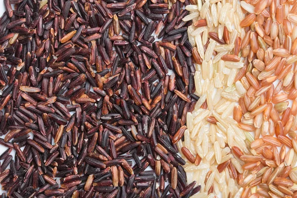 Three variety kinds of brown rice — Stock Photo, Image