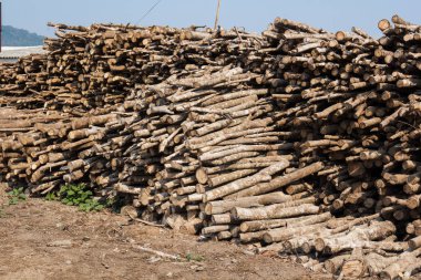 Küçük ahşap günlükleri yığını 