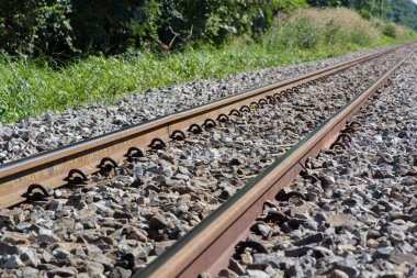 Demiryolu çapraz çizgi yanında ağaç doğa 