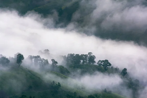 熱帯雨林と山の風景 — ストック写真