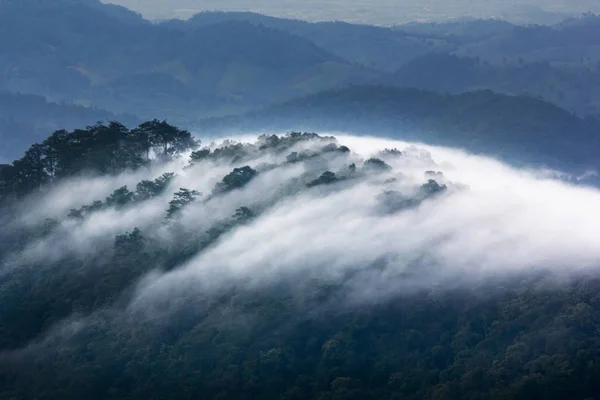 Tropical rain forest and mountain landscape — Stock Photo, Image