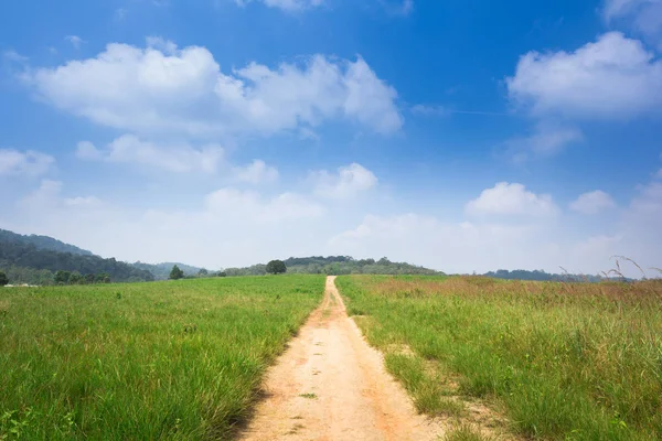 Langer Fußweg führt einen Hügel hinauf — Stockfoto