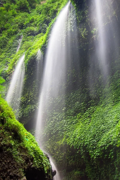 Madakaripura Waterfall-Deep Forest Waterfall — Stock Photo, Image