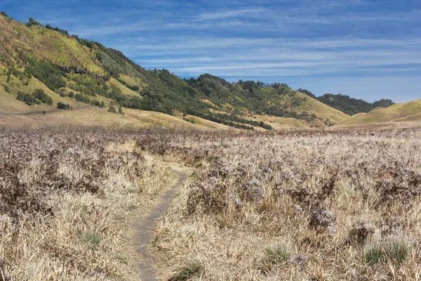 Bromo Tengger Semeru Nationa Mount Bromo Volkanlar, savana