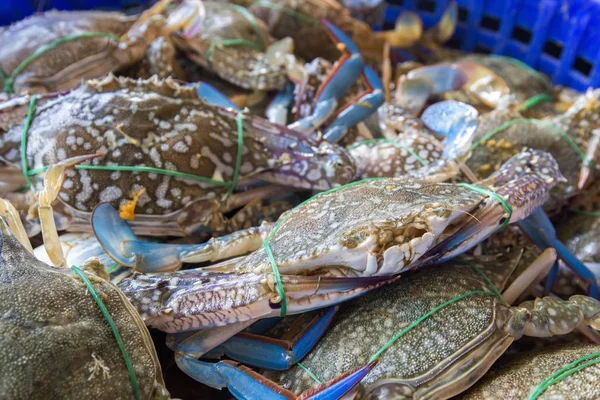 Yengeç sepeti denizden yakalayan